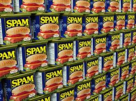 brief guide to spam