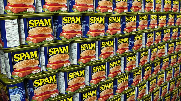 brief guide to spam