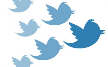 Twitter birds followers
