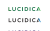 Lucidica IT support logo