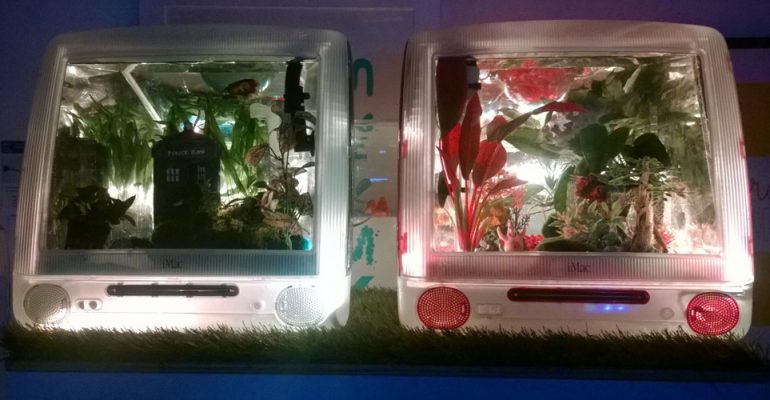 Lucidica iMac Fish Tank