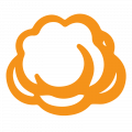 cloudberry-icon